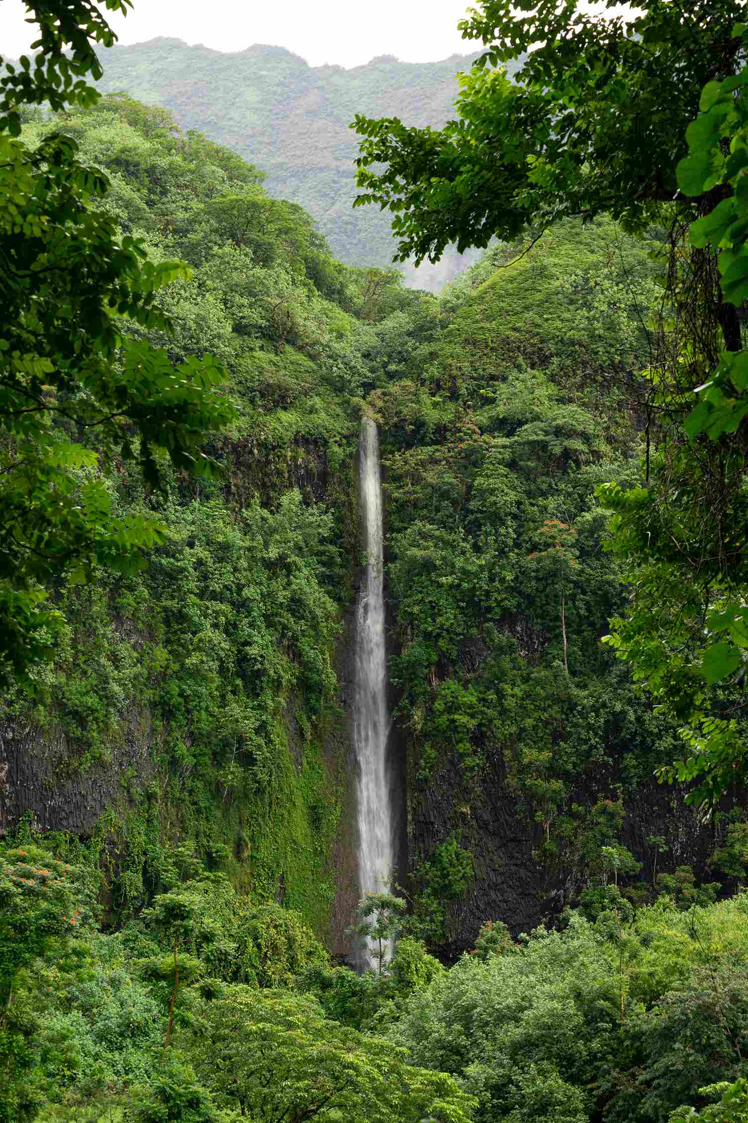 Image cascade la vallée de papenoo